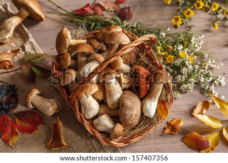 Autumn still-life with full basket of mushrooms / studio photography of gustable mushrooms in a wicker basket