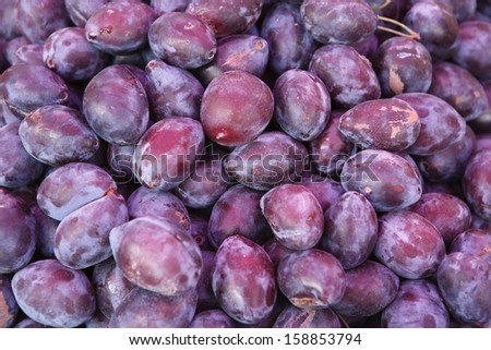 Violet plum fruits