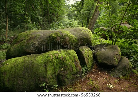 Huge stones with moss lieng against dense wood