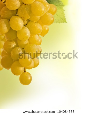 grapes vine border abstract background over white