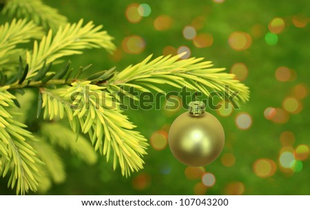 [Obrazek: stock-photo-branch-of-green-christmas-tr...043200.jpg]