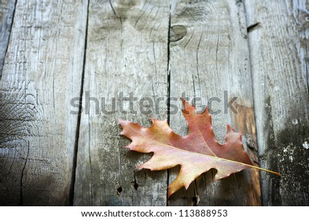 [Obrazek: stock-photo-autumn-leaf-on-wooden-boards...888953.jpg]