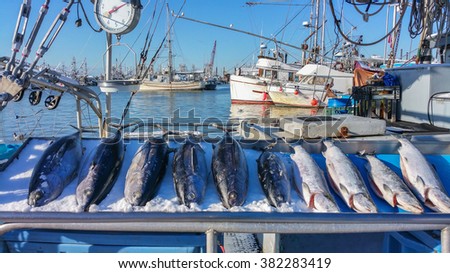 Fish Market in Steveston Village, Richmond, BC, Canada. Captured with mobile phone Samsung Galaxy Note 4.