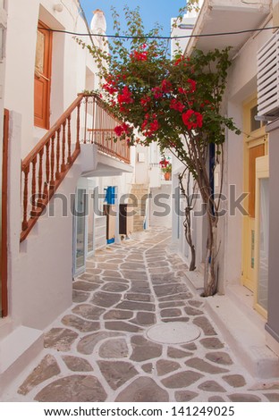 Blooming bougainvillaea about storefront on the street of the island of Mykonos in Greece.