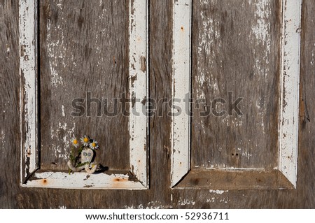 old ragged painted with white paint Wooden door with daisies on a hook