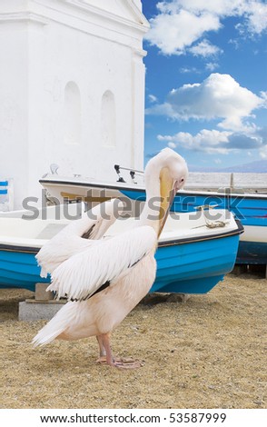 Pelican cleans the feathers around the fishing boats on the shore near church on the island of Mykonos