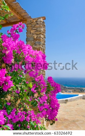 Shrub with pink flowers on the background of the pool, sea and sky ...