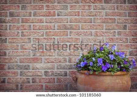 Flower pot in front of a brick wall in the garden