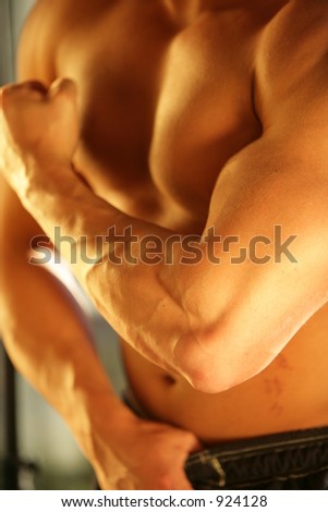 male body builder arm