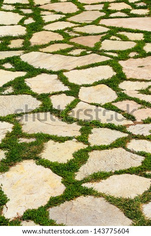 stone path in green grass garden texture elevated view