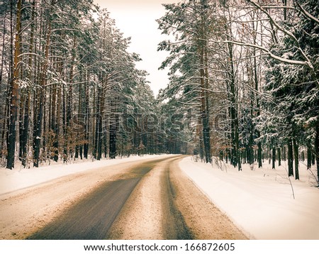 Winding road hidden behind tall pine trees, frosty winter landscape. Effect of an old photo toning
