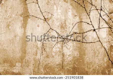 Dry trunks and branches of plants are no leaves on the old stone wall paint strict picturesque creative ornament. Background for your concept or project. Landscape style. Great background or texture.