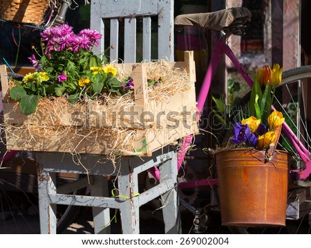 Original ornamental decoration bouquet of spring flowers in a wooden box and iron bucket and retro bike. Flowers in bright sunlight on a contrasting background of a contrasting shade.