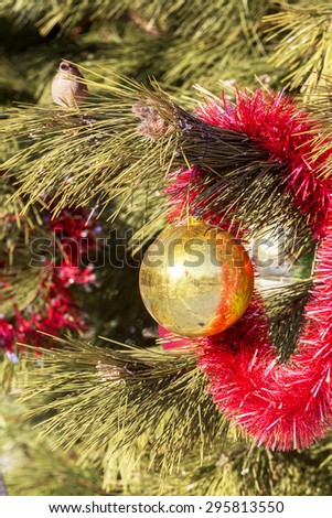 Authentic pine branch decorated with Christmas old baubles, selective soft focus as a background for a Christmas design.