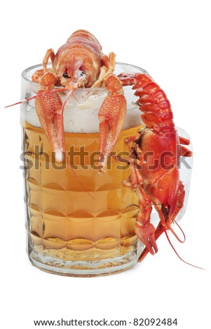 Fresh beer and crayfish, isolated