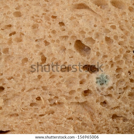 Bread texture background with mold