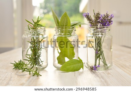 Lavender, sage and rosemary in glasses on a kitchen table