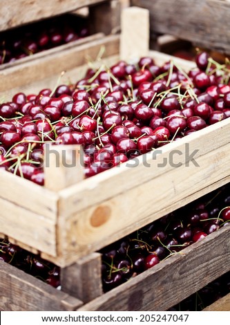 Cherries in boxes at street market