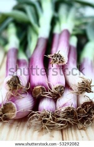 Spring onion
