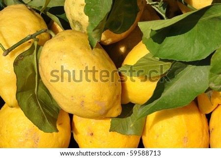 Lemons at Lake Garda