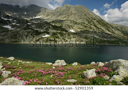 The largest lake in Retezat National Park, Lake Bucura, with rhododendrons and snow patches in Peleaga Peak, the highest in the massif (2509 m)