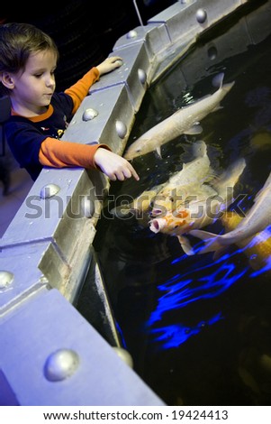 The little boy feeds multi-coloured fishes