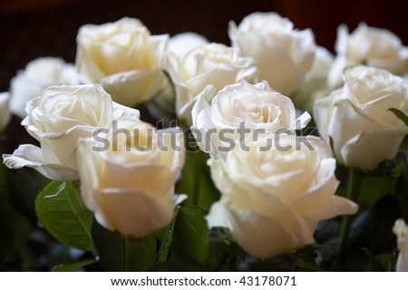 The bouquet of beautiful gentle fresh roses is  ready for delivery to the bride