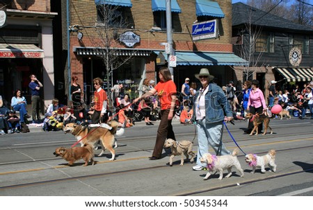 TORONTO, CANADA - APRIL 4: Dogs club takes part in an annual Easter Parade 2010 April 4, 2010 in Toronto, Canada.