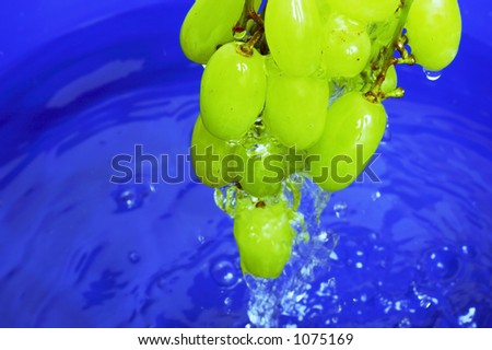 Grapes pulled out of water