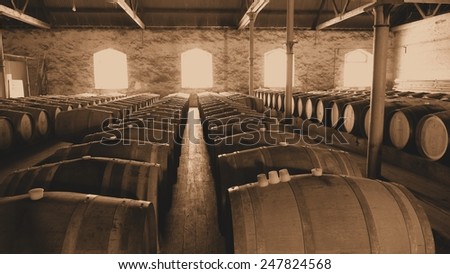 Photo of historical wine barrels in winery storage area featuring rows of oak barrels after vintage and harvest.  soft focus with grain