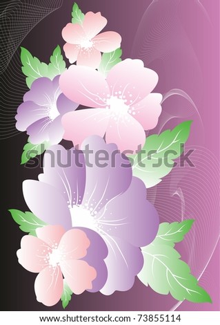 Flowers purple. Vector illustration.