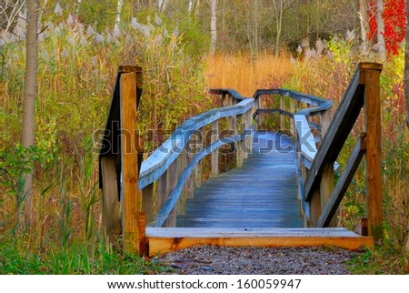 A nature trail wooden walkway leading into the woods.