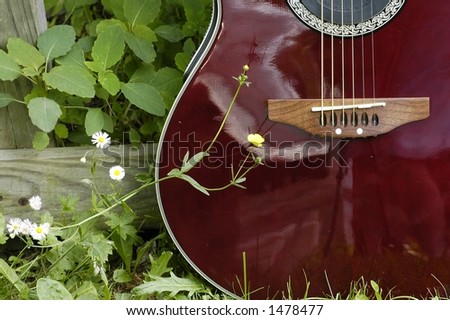 Country Guitar with flowers.