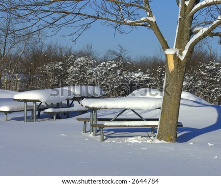 Winter scene in a local park.