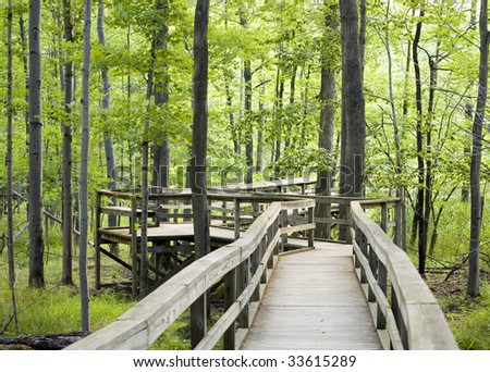 A nature trail wooden walkway leading into the woods.