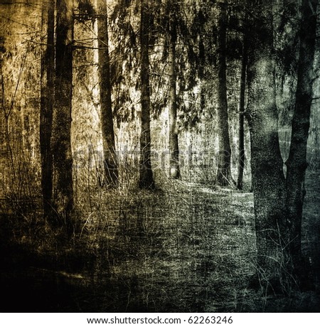 Mystical forest, dark grunge background, scratched surface