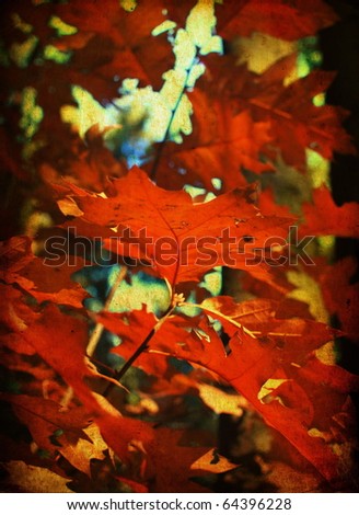 Vintage autumn background, red leaves