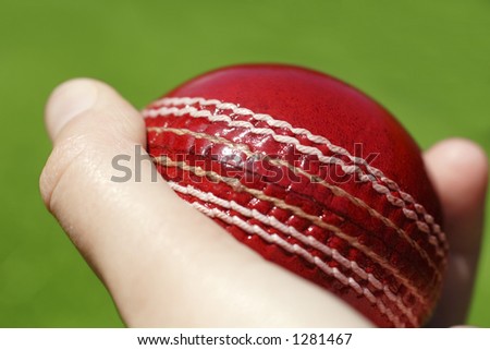 cricket ball. stock photo : cricket ball in