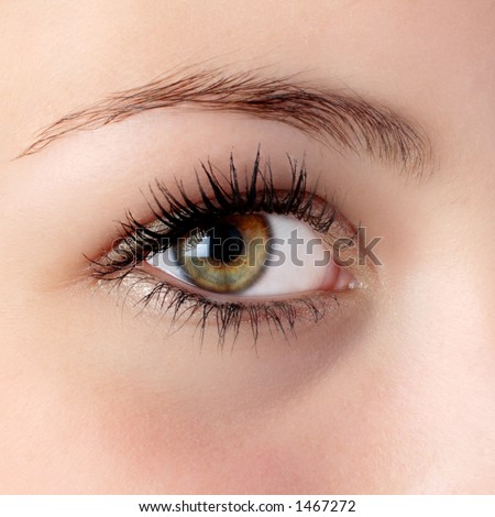  اكبر موسوعة صور لأجمل العيون .. حصري من تجميعي    Stock-photo-beautiful-hazel-eye-1467272