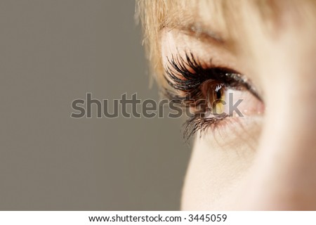 beautiful hazel eye with luscious eyelashes.