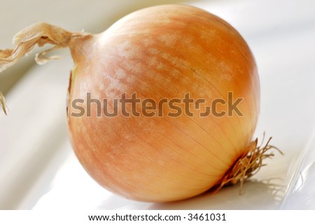Raw onion, ready to add to a recipe of your choice