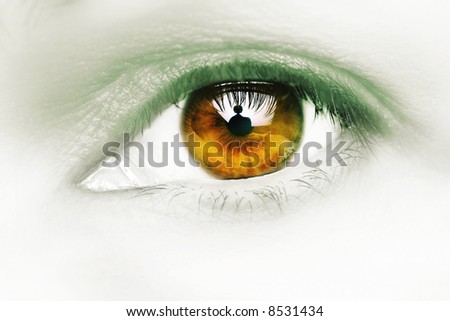 female eye, thirty something, cross processed.