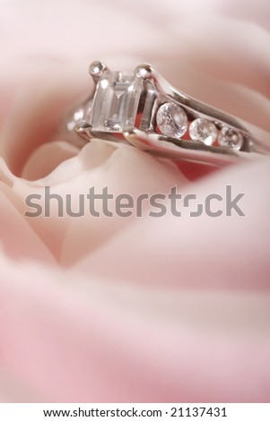 diamond ring in the sumptuous folds of a pink rose