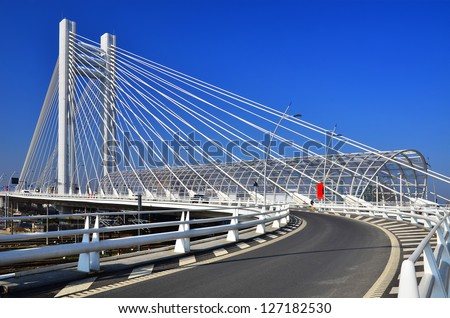 BUCHAREST, ROMANIA - MAR 20:  The new Basarab Overpass Bridge on March 20 2012 in Bucharest, Romania. The bridge is one of the largest suspension bridges in Europe.