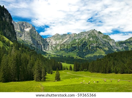 Alpine meadow in central Switzerland. Arnibach Valley, near Engelberg.