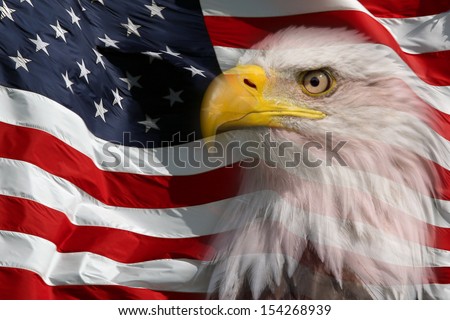 Slightly transparent North American Bald Eagle on American flag Slightly transparent North American Bald Eagle on American flag
