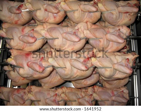 Spitted marinated chickens stored in the cold room waiting to be cooked.