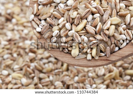 Mixed healthy grains and rice close up in a wooden spoon