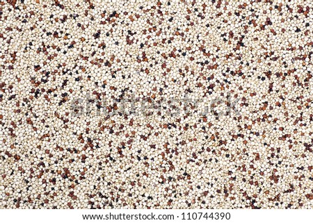 Mixed quinoa seeds filling frame for food texture or background