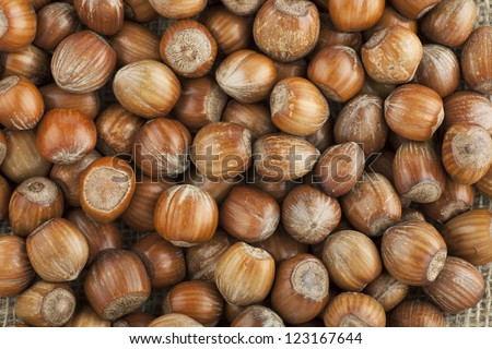 Pile of whole un-shelled hazelnuts seen from above.